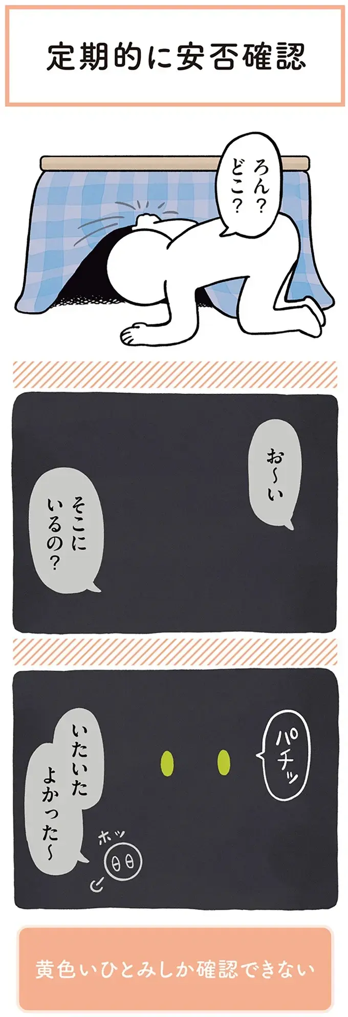 『黒猫ろんと暮らしたら』1～3（142）