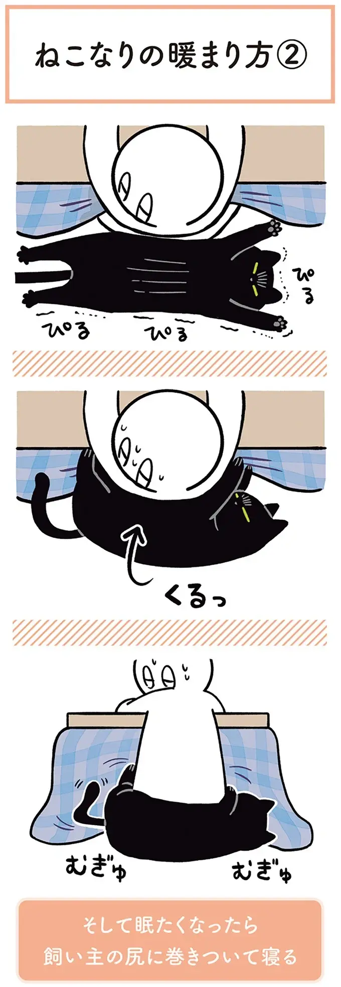 『黒猫ろんと暮らしたら』1～3（147）