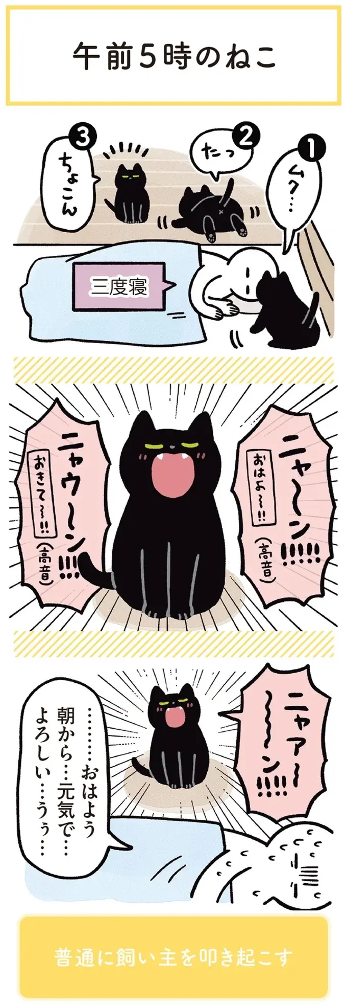 『黒猫ろんと暮らしたら』1～3（150）