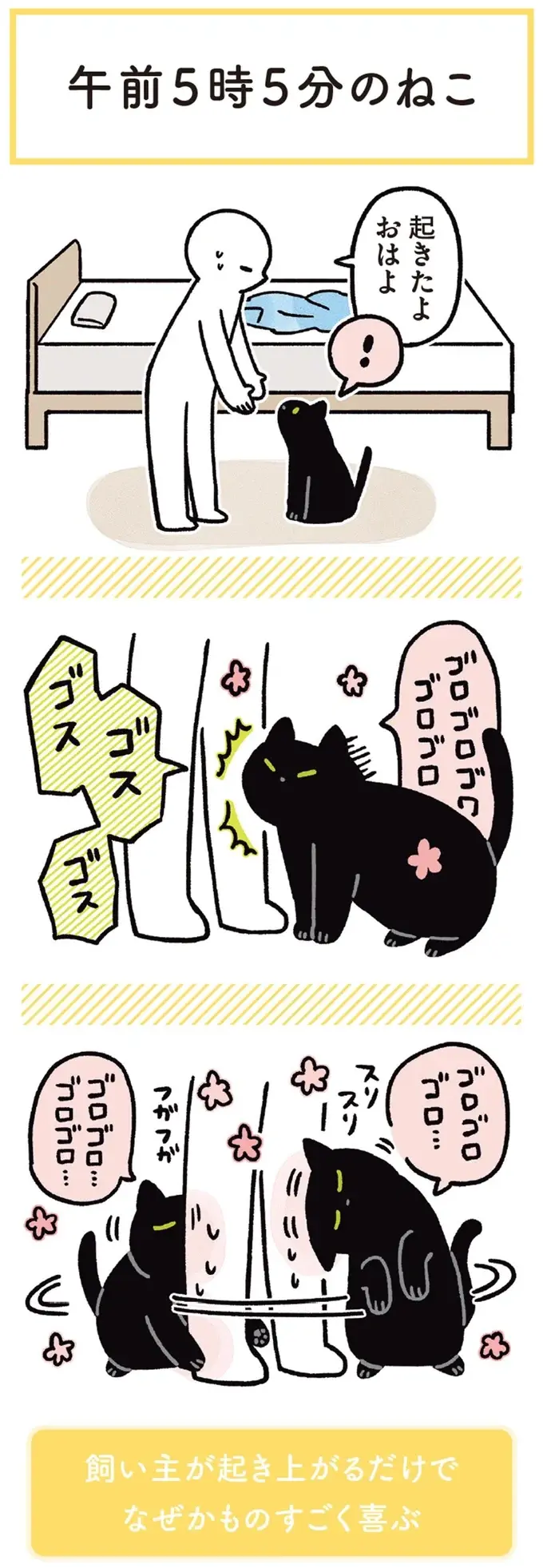 『黒猫ろんと暮らしたら』1～3（151）
