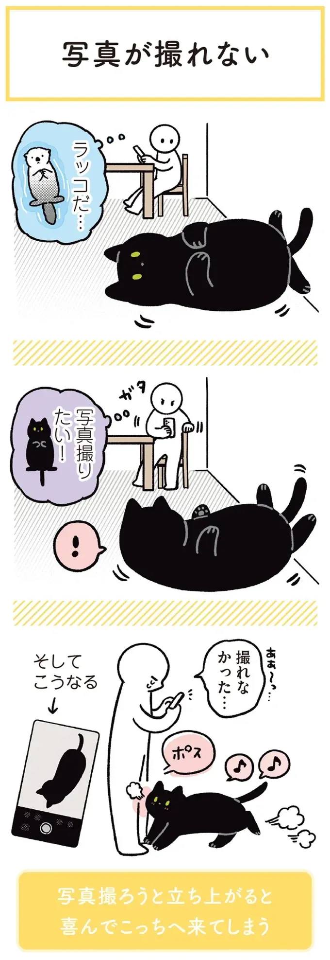 『黒猫ろんと暮らしたら』1～3（162）