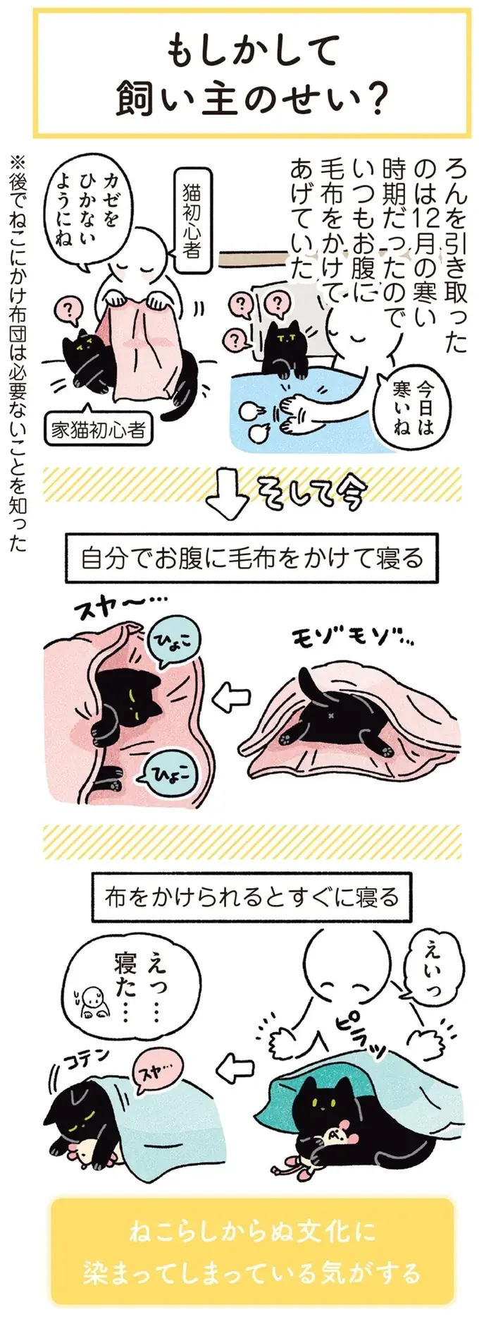 『黒猫ろんと暮らしたら』1～3（164）