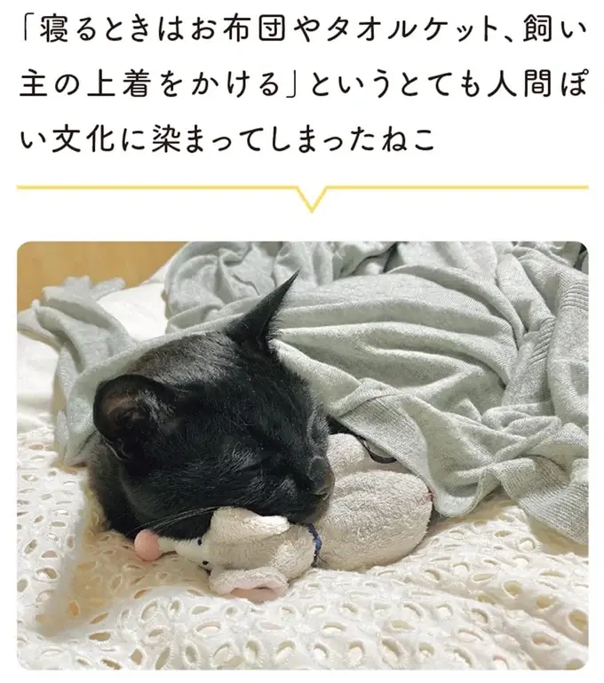 『黒猫ろんと暮らしたら』1～3（165）