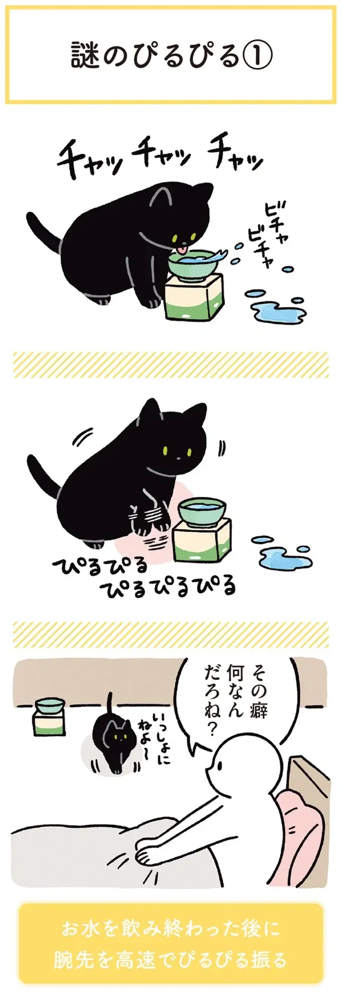 『黒猫ろんと暮らしたら』1～3（166）