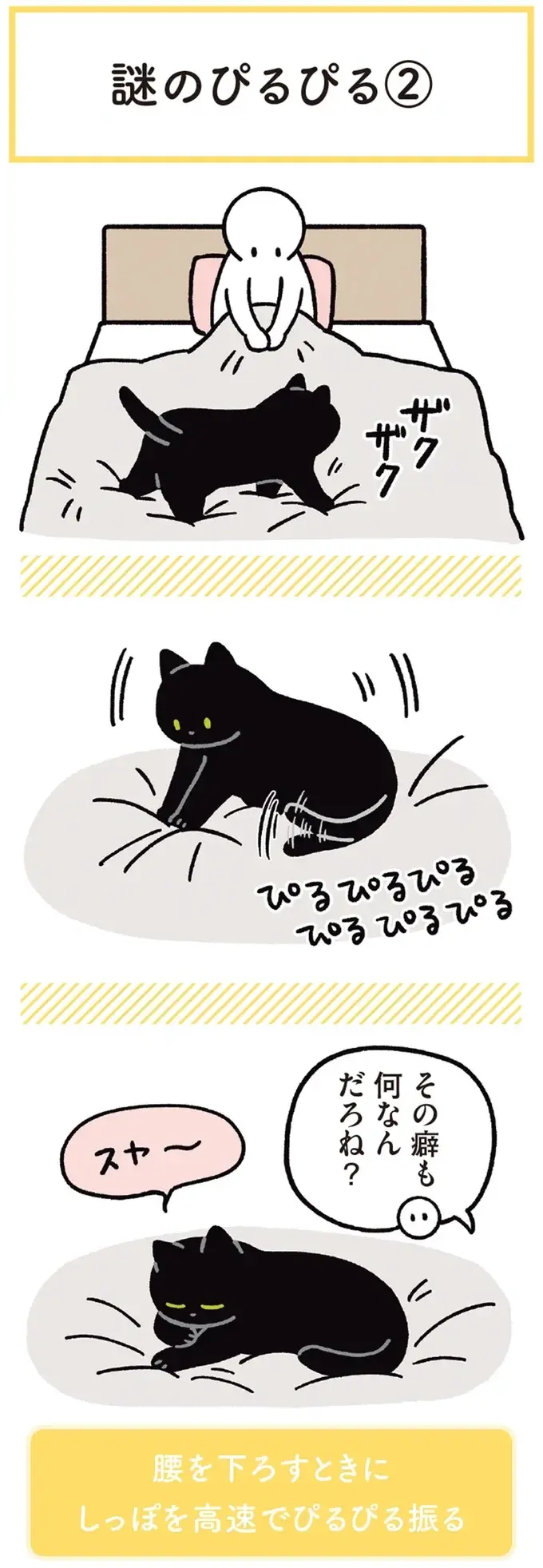 『黒猫ろんと暮らしたら』1～3（167）