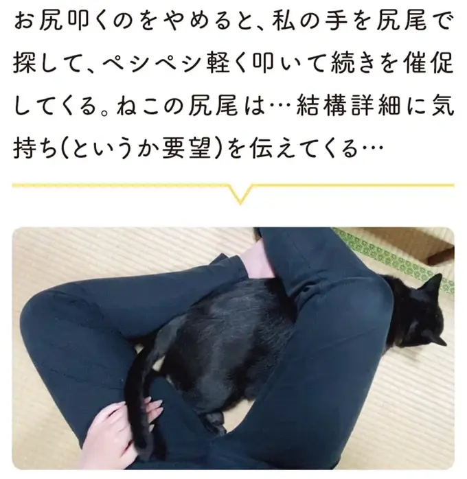 『黒猫ろんと暮らしたら』1～3（169）