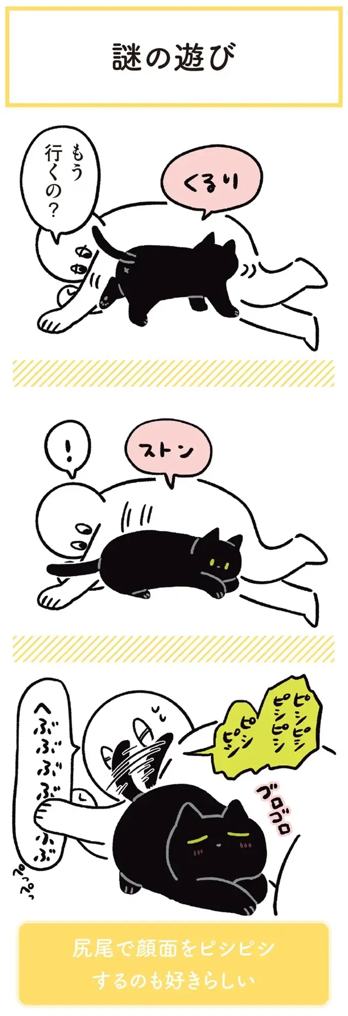 『黒猫ろんと暮らしたら』1～3（173）