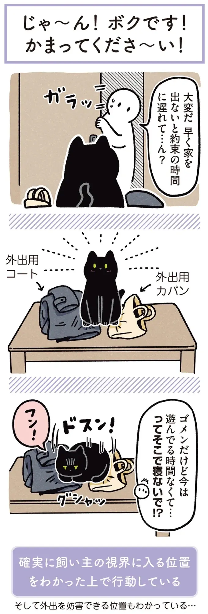 『黒猫ろんと暮らしたら』1～3（176）
