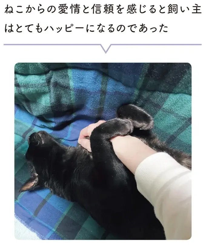『黒猫ろんと暮らしたら』1～3（193）