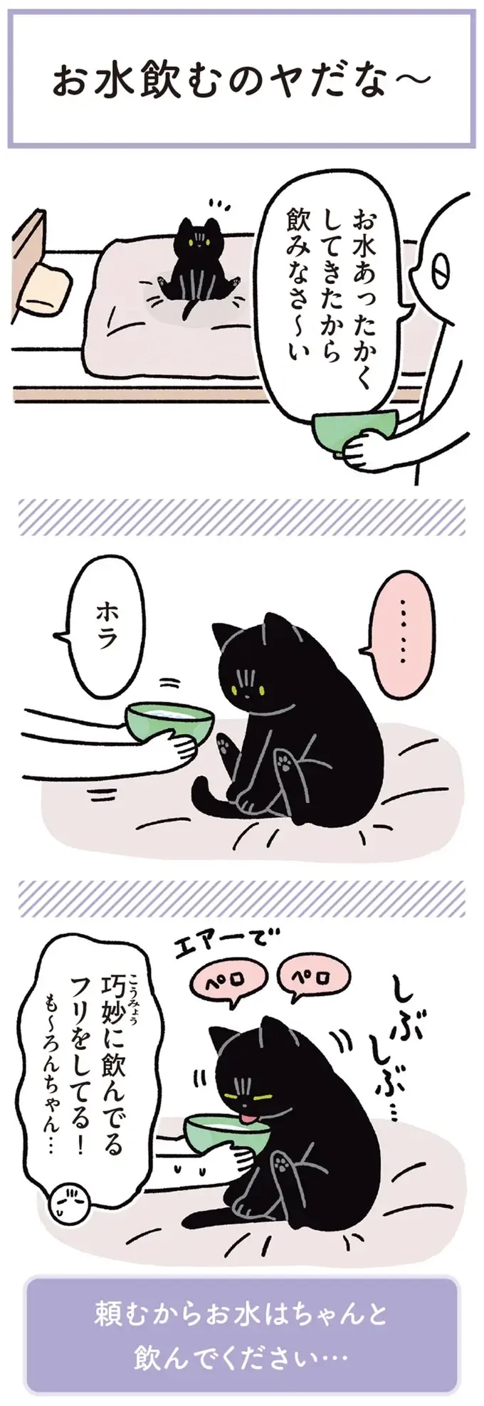 『黒猫ろんと暮らしたら』1～3（194）