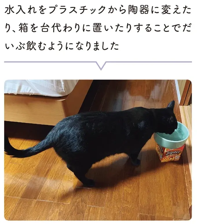 『黒猫ろんと暮らしたら』1～3（197）