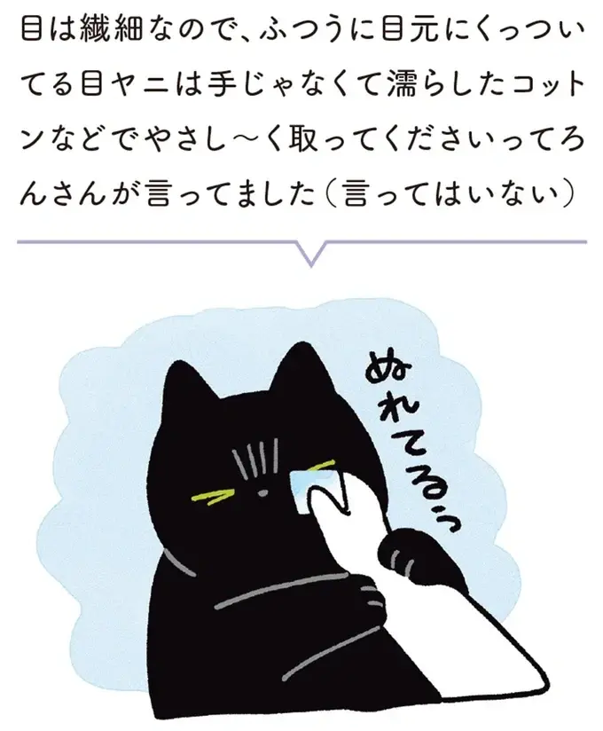 『黒猫ろんと暮らしたら』1～3（203）
