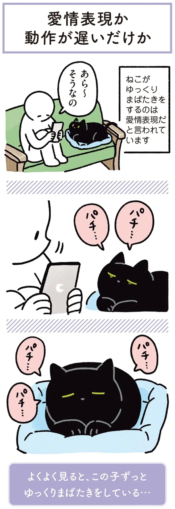 『黒猫ろんと暮らしたら』1～3（204）