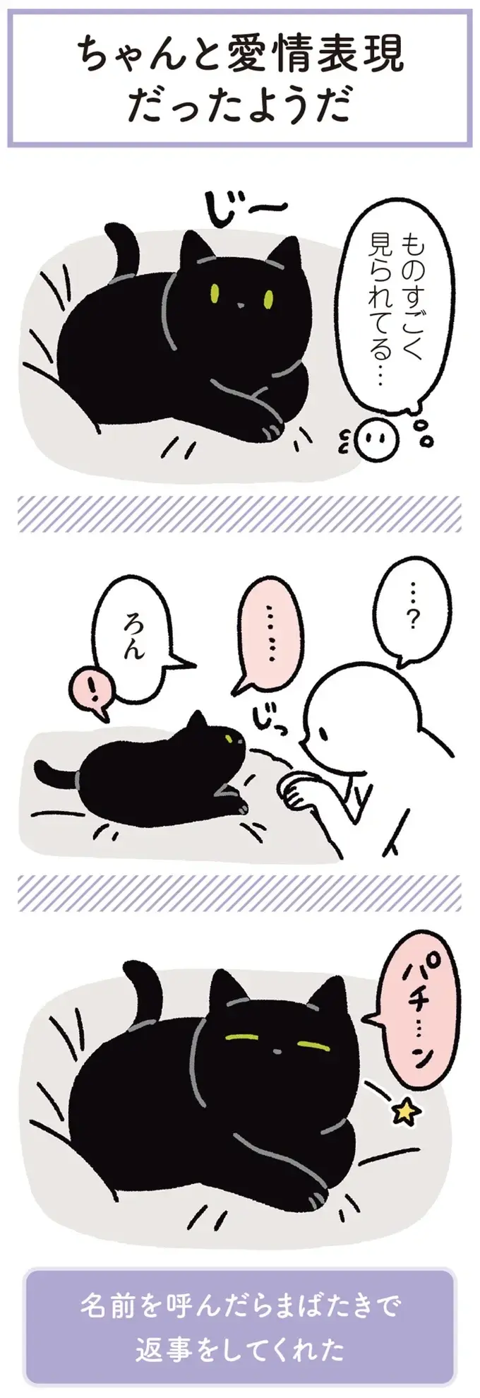 『黒猫ろんと暮らしたら』1～3（205）