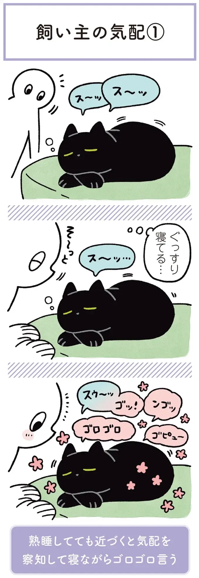 『黒猫ろんと暮らしたら』1～3（206）