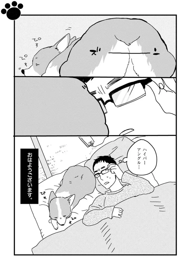『あしょんでよッ ～うちの犬ログ～ 1～10』（2）