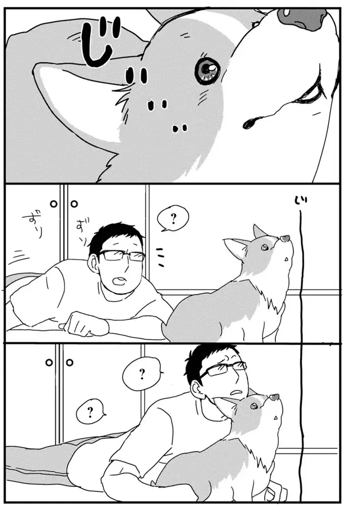 『あしょんでよッ ～うちの犬ログ～ 1～10』（5）
