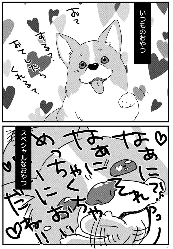 『あしょんでよッ ～うちの犬ログ～ 1～10』（7）