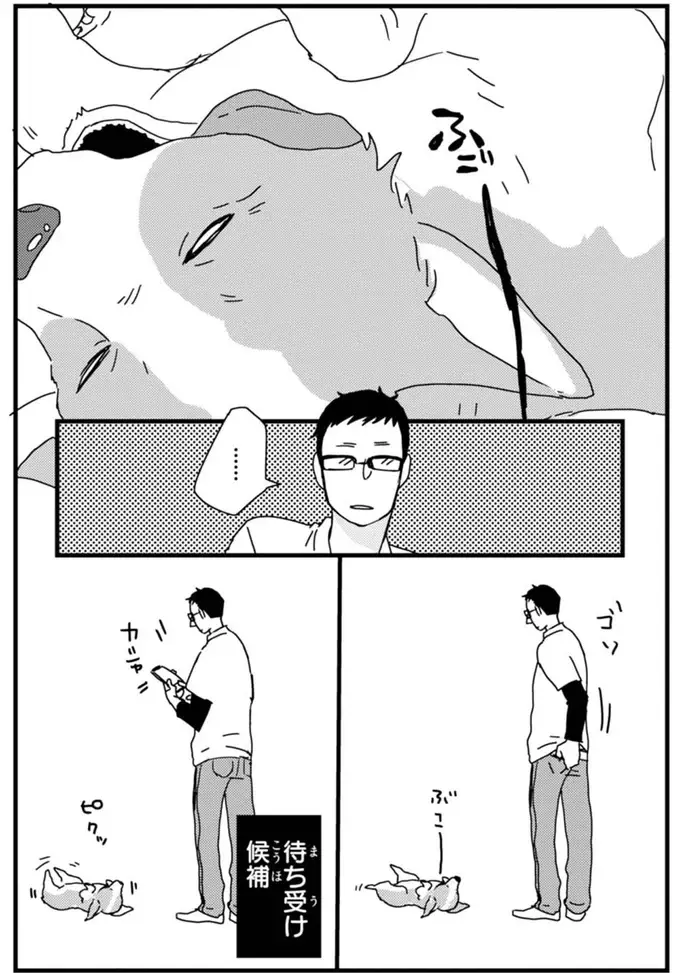 『あしょんでよッ ～うちの犬ログ～ 1～10』（8）