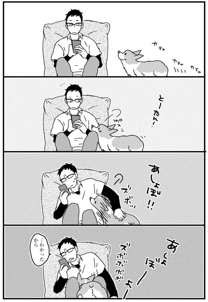 『あしょんでよッ ～うちの犬ログ～ 1～10』（10）