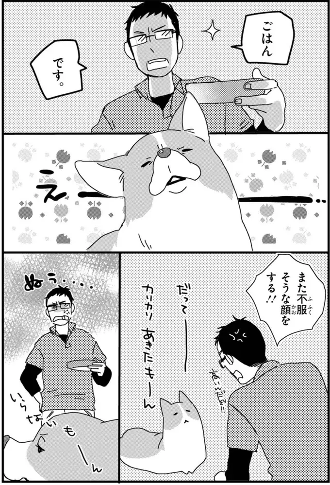『あしょんでよッ ～うちの犬ログ～ 1～10』（13）