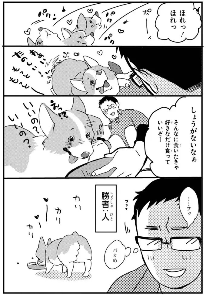 『あしょんでよッ ～うちの犬ログ～ 1～10』（15）
