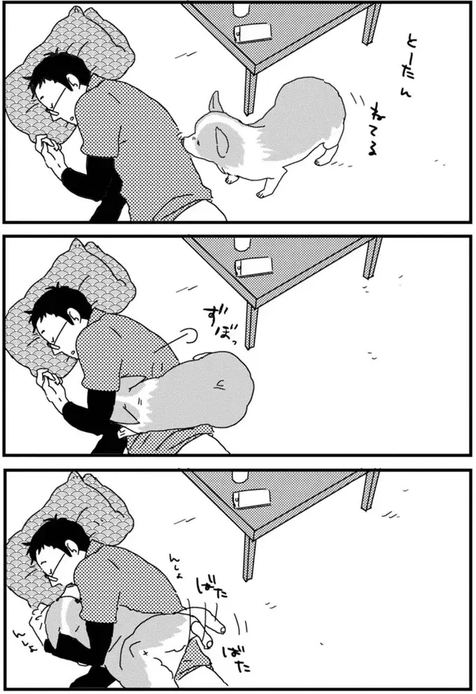 『あしょんでよッ ～うちの犬ログ～ 1～10』（16）