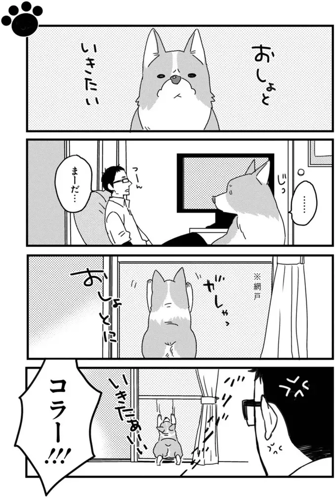 『あしょんでよッ ～うちの犬ログ～ 1～10』（18）