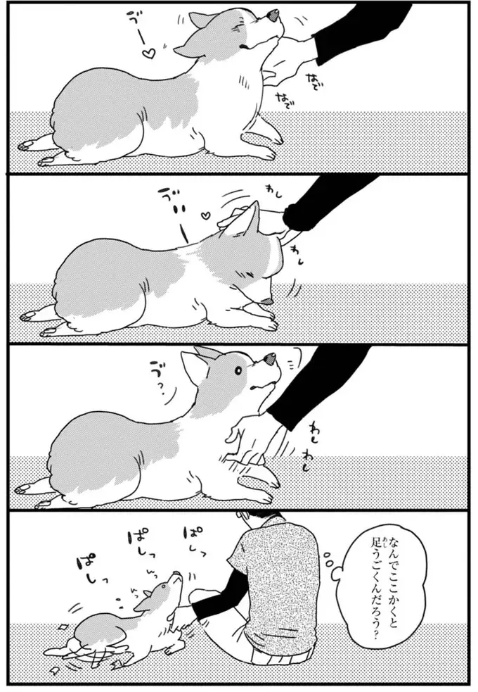 『あしょんでよッ ～うちの犬ログ～ 1～10』（21）