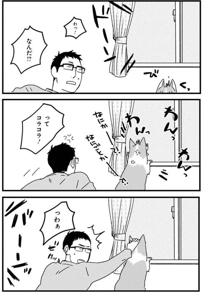 『あしょんでよッ ～うちの犬ログ～ 1～10』（23）