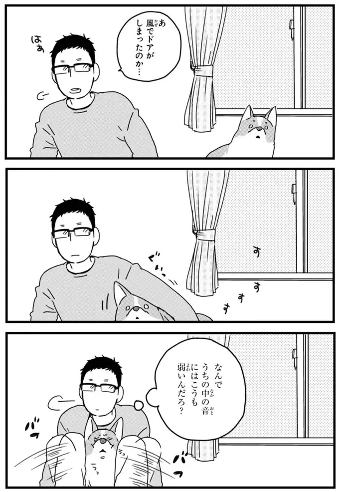 『あしょんでよッ ～うちの犬ログ～ 1～10』（24）