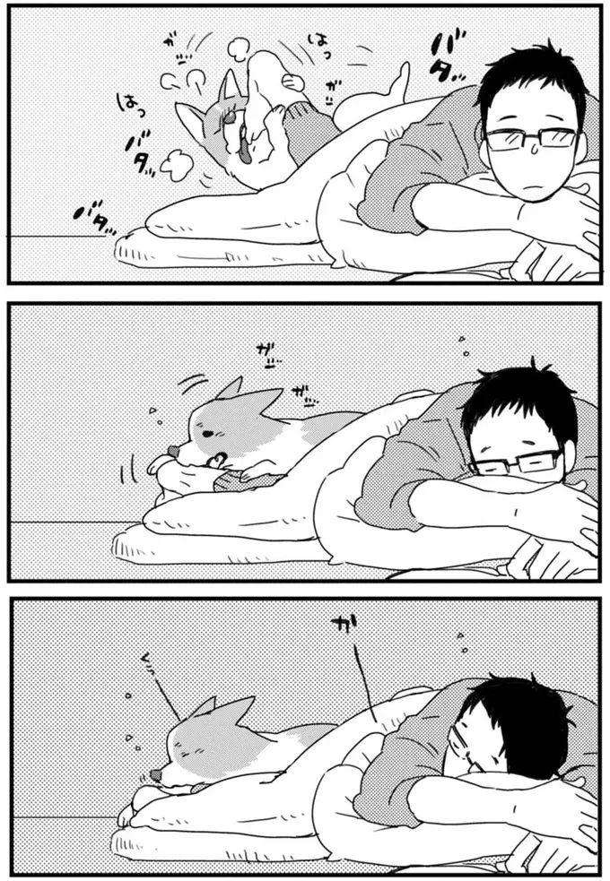 『あしょんでよッ ～うちの犬ログ～ 1～10』（30）