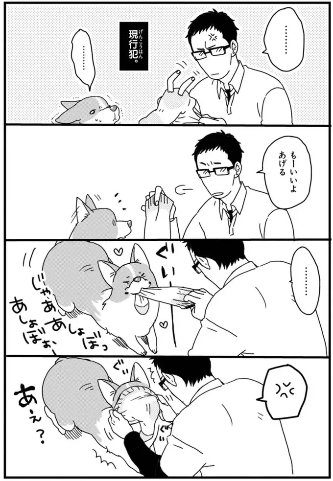 『あしょんでよッ ～うちの犬ログ～ 1～10』（37）