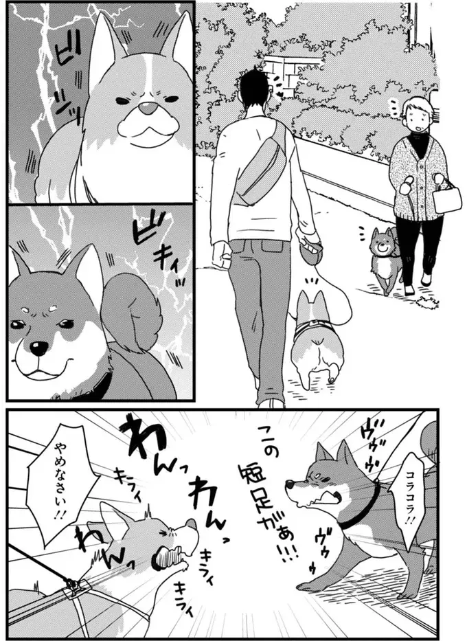 『あしょんでよッ ～うちの犬ログ～ 1～10』（39）