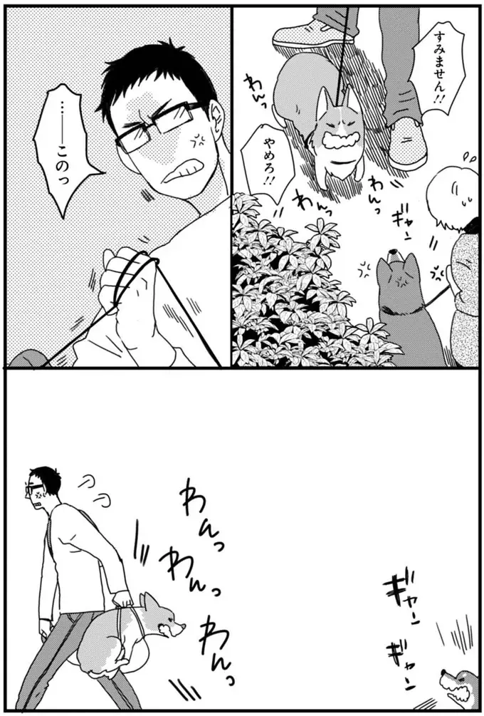 『あしょんでよッ ～うちの犬ログ～ 1～10』（40）