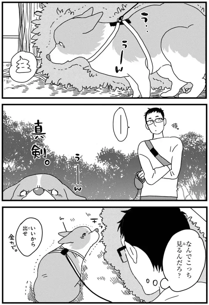『あしょんでよッ ～うちの犬ログ～ 1～10』（41）