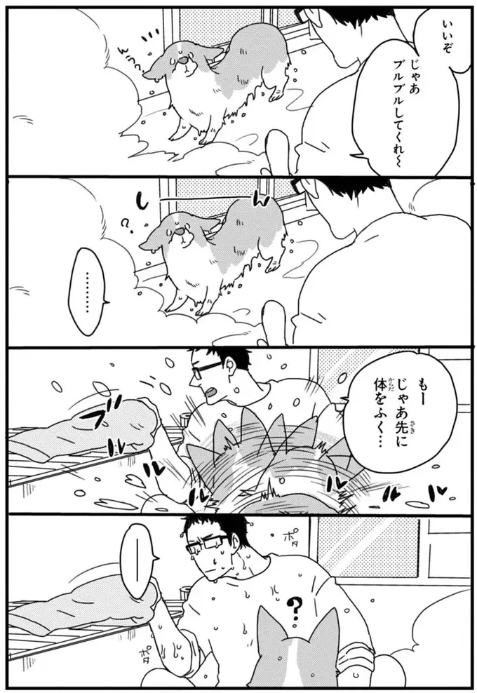 『あしょんでよッ ～うちの犬ログ～ 1～10』（43）