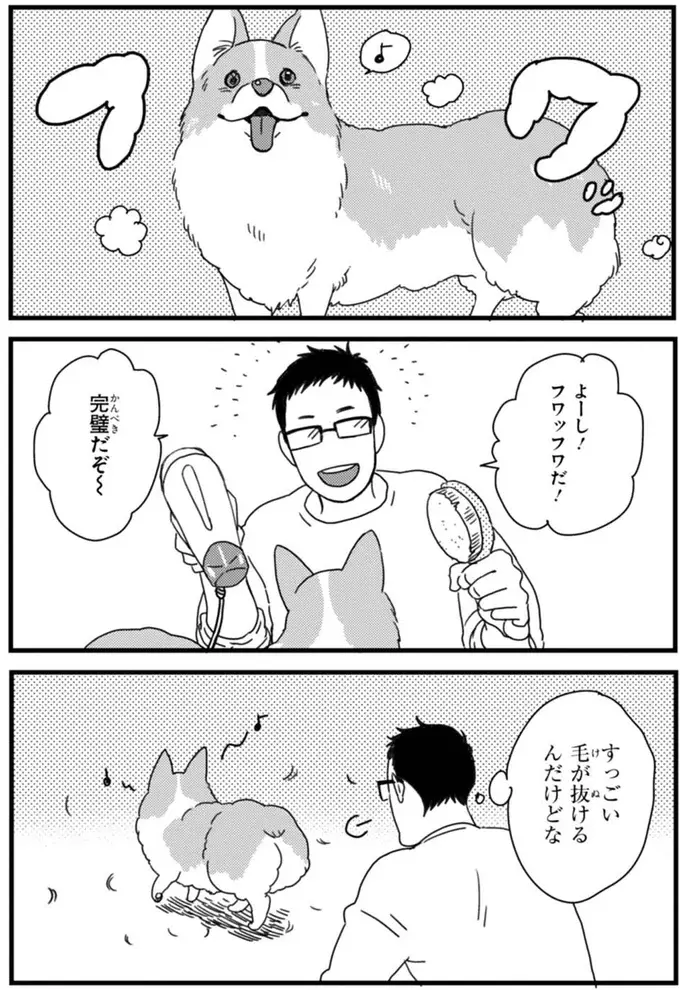 『あしょんでよッ ～うちの犬ログ～ 1～10』（44）