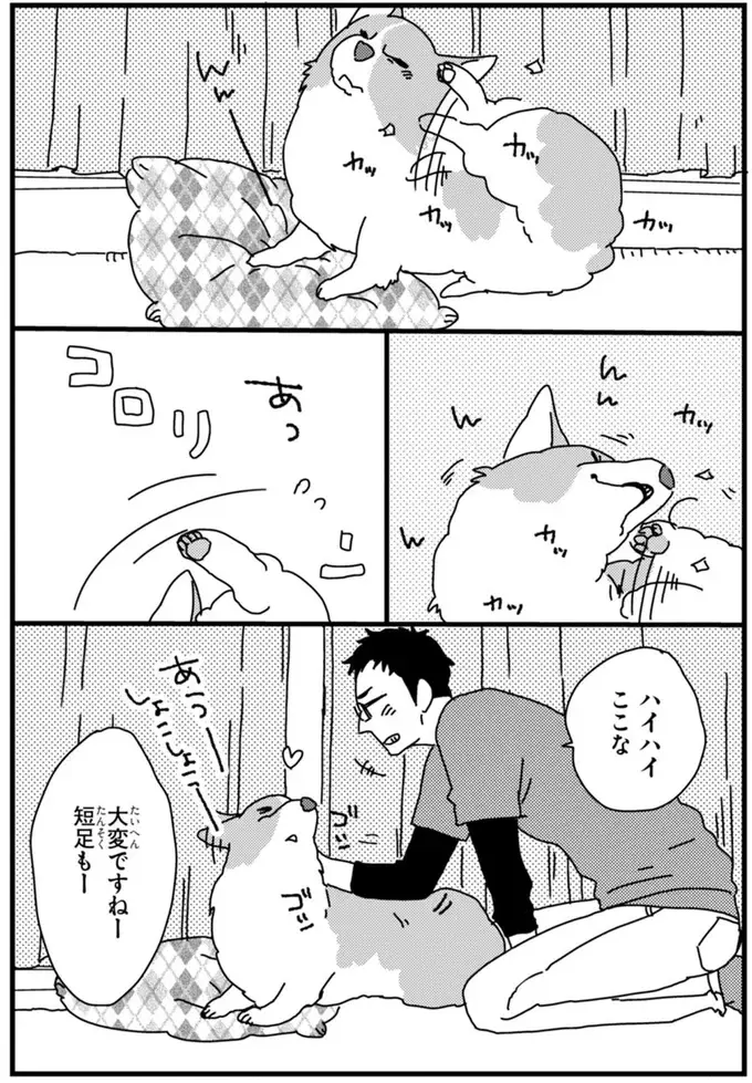 『あしょんでよッ ～うちの犬ログ～ 1～10』（55）