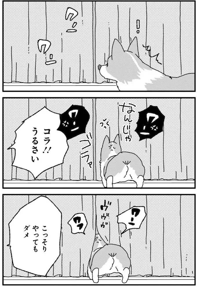 『あしょんでよッ ～うちの犬ログ～ 1～10』（56）