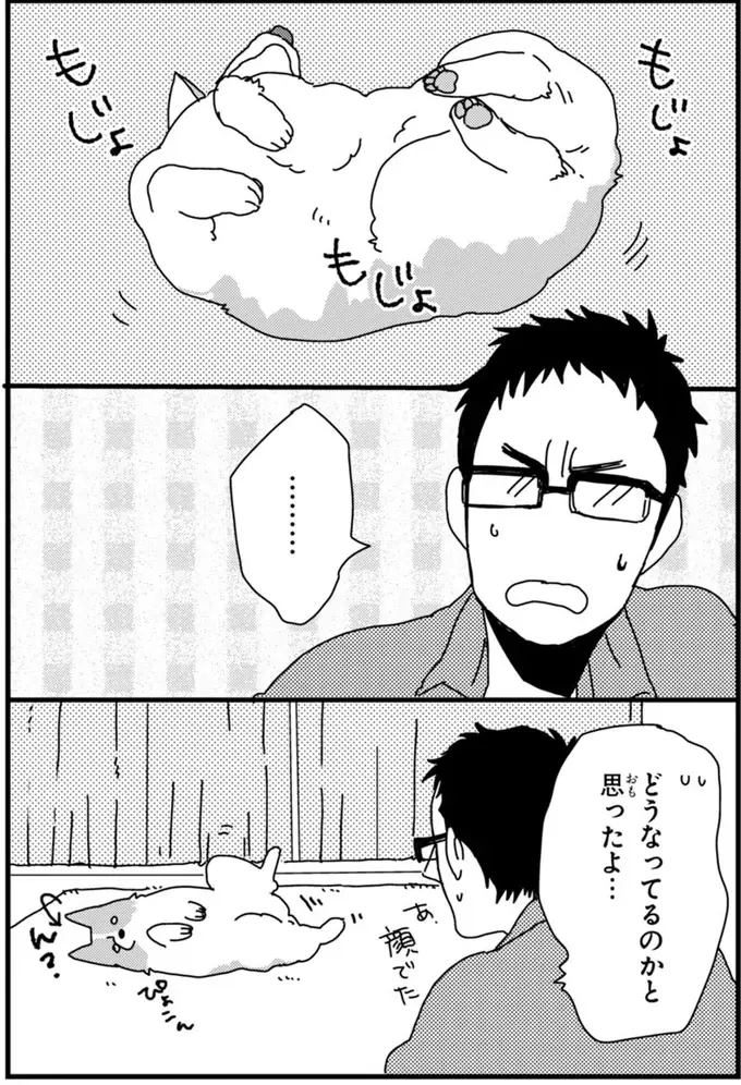 『あしょんでよッ ～うちの犬ログ～ 1～10』（60）
