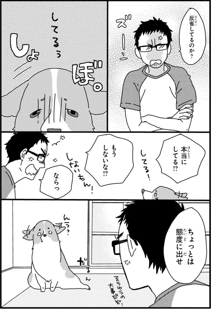 『あしょんでよッ ～うちの犬ログ～ 1～10』（61）