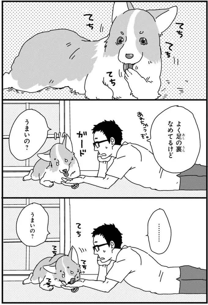 『あしょんでよッ ～うちの犬ログ～ 1～10』（62）