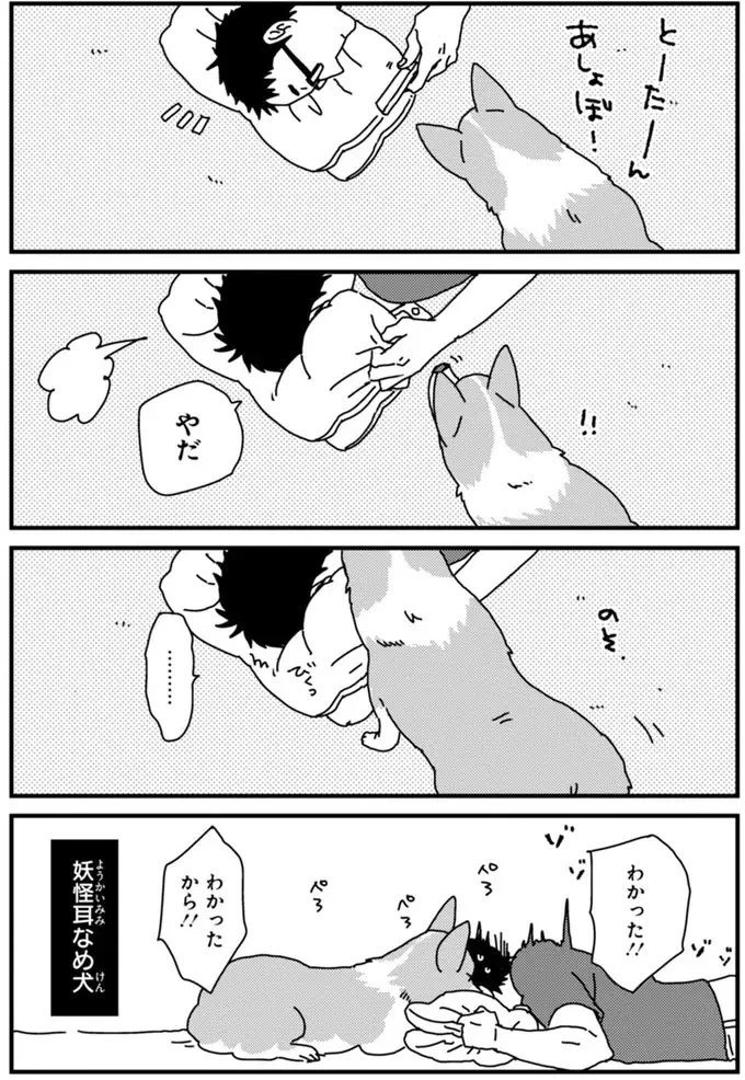 『あしょんでよッ ～うちの犬ログ～ 1～10』（69）