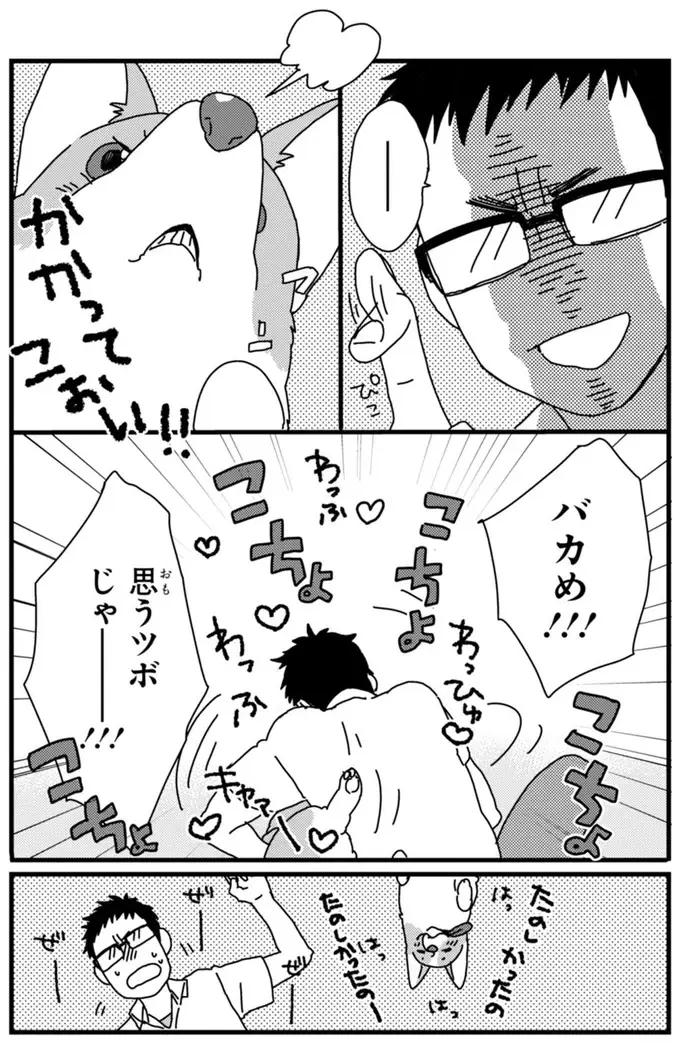 『あしょんでよッ ～うちの犬ログ～ 1～10』（71）