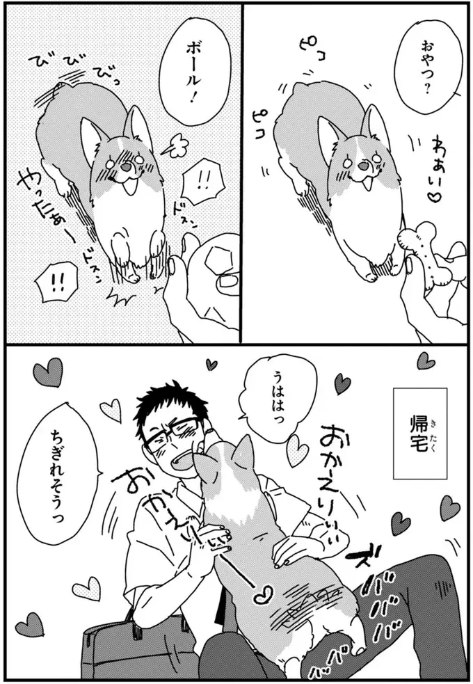 『あしょんでよッ ～うちの犬ログ～ 1～10』（72）