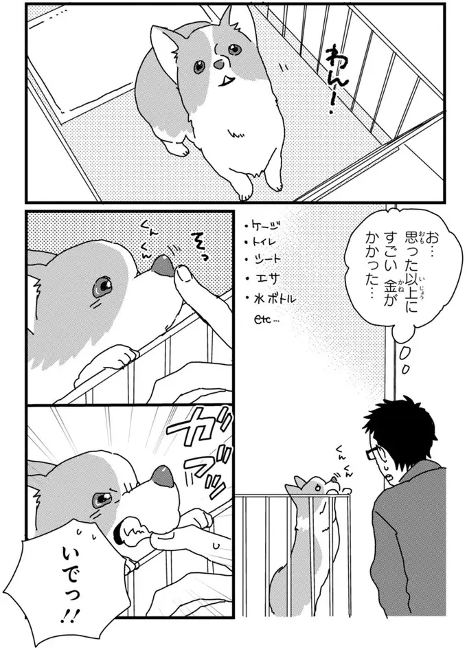 『あしょんでよッ ～うちの犬ログ～ 1～10』（75）