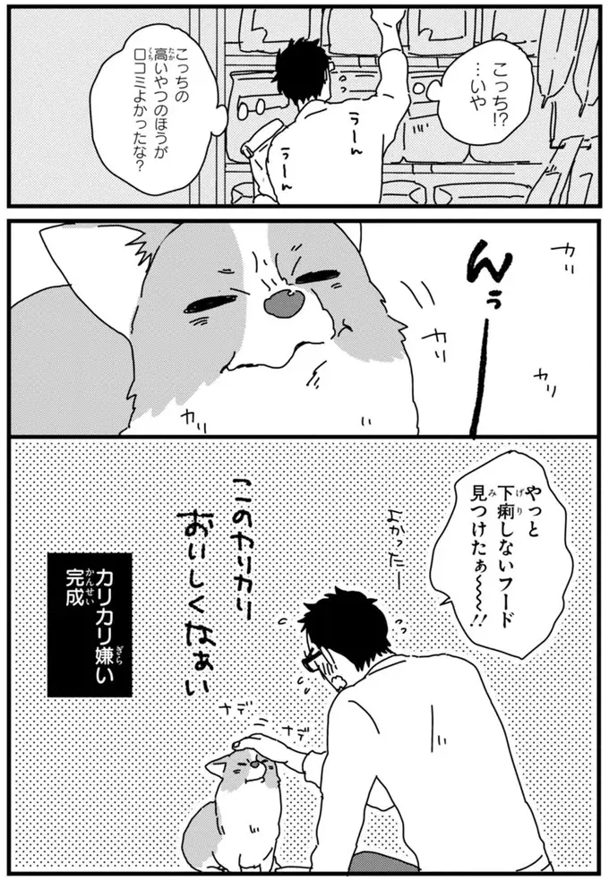 『あしょんでよッ ～うちの犬ログ～ 1～10』（82）