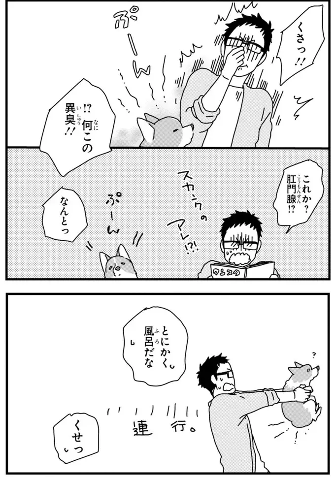 『あしょんでよッ ～うちの犬ログ～ 1～10』（84）