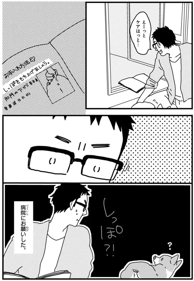 『あしょんでよッ ～うちの犬ログ～ 1～10』（85）